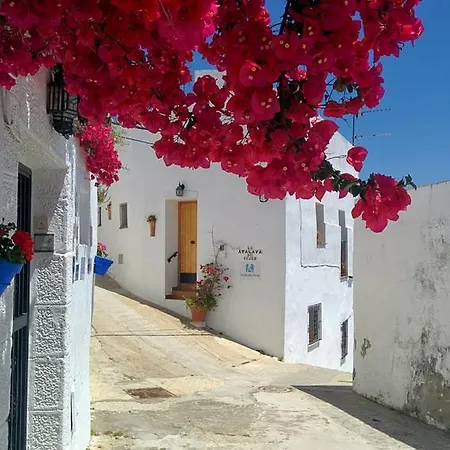 Apartment La Atalaya De Vejer Vejer de la Frontera